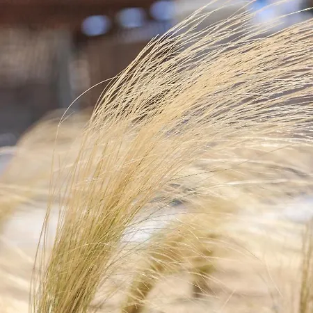 The George With Private Pool, Close To - Chora *