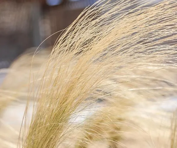 The George With Private Pool, Close To - Chora *